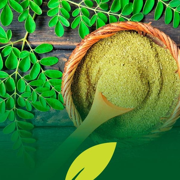 productos-superfoods-moringa